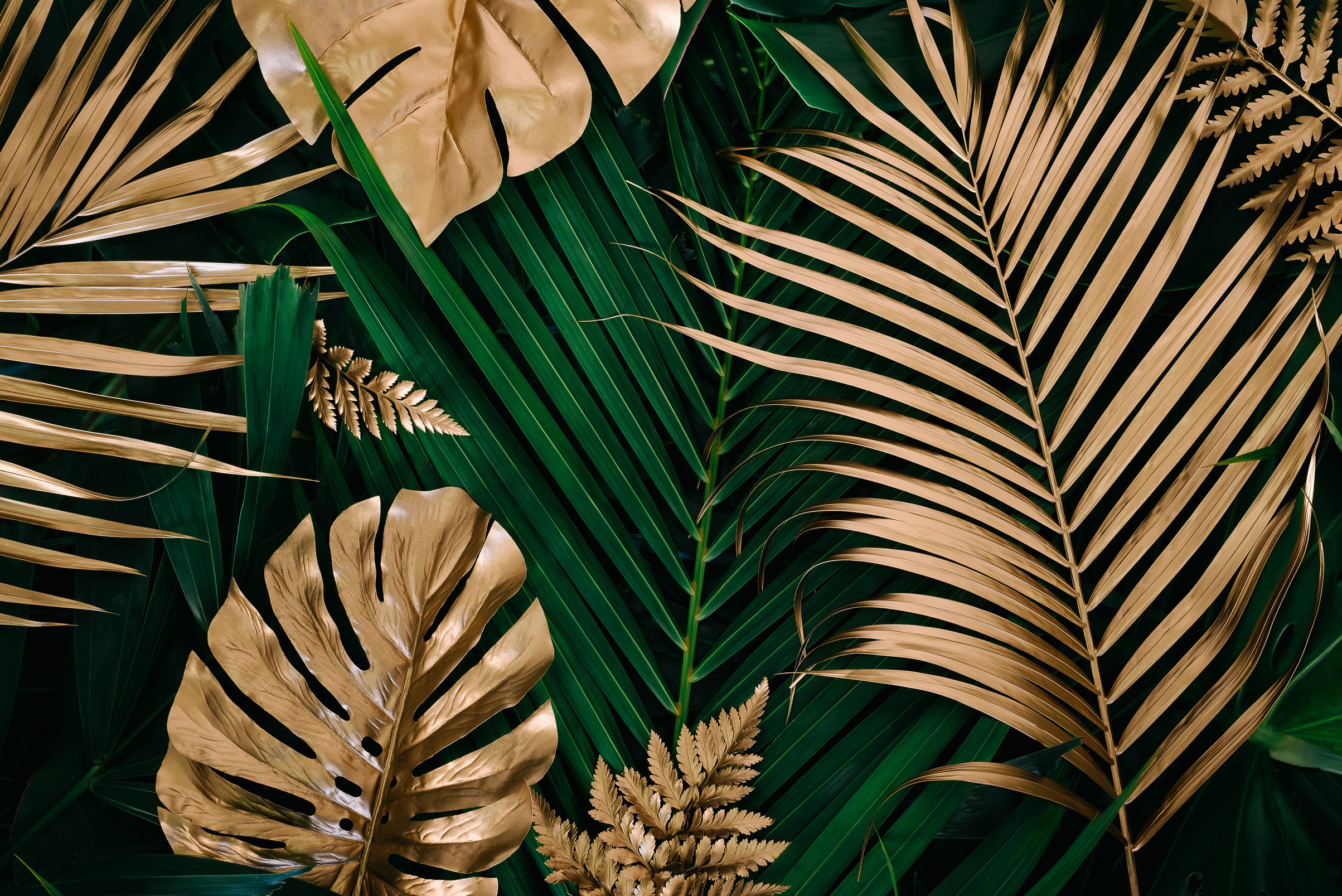 Creative nature background. Gold and green tropical Monstera and palm leaves.